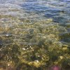 Marsala_2012 (103)